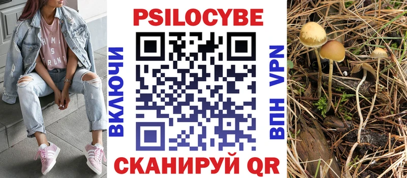 Галлюциногенные грибы Cubensis  даркнет сайт  Туран 