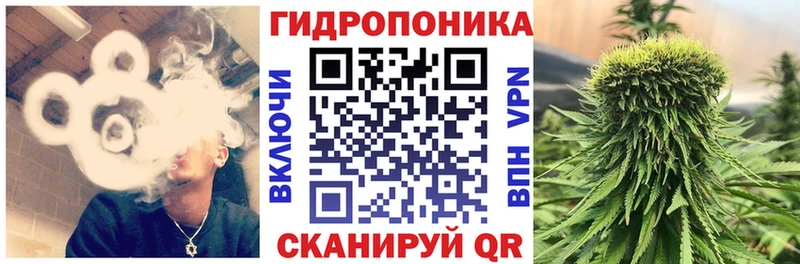 Бошки Шишки тримм Туран